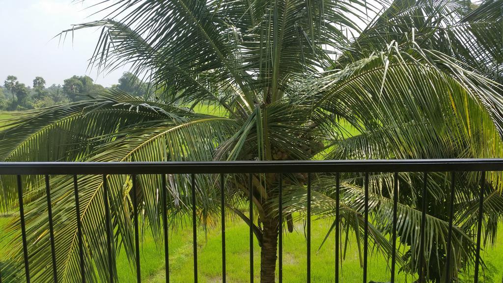 Serene View Tourist Rest Hotel Anuradhapura Eksteriør billede