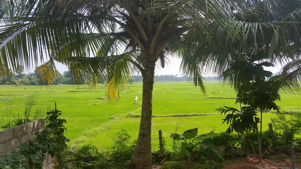 Serene View Tourist Rest Hotel Anuradhapura Eksteriør billede