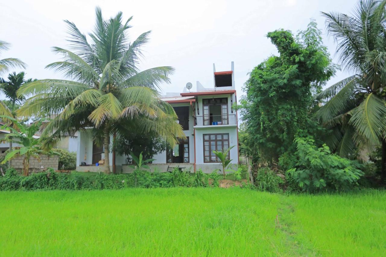 Serene View Tourist Rest Hotel Anuradhapura Eksteriør billede
