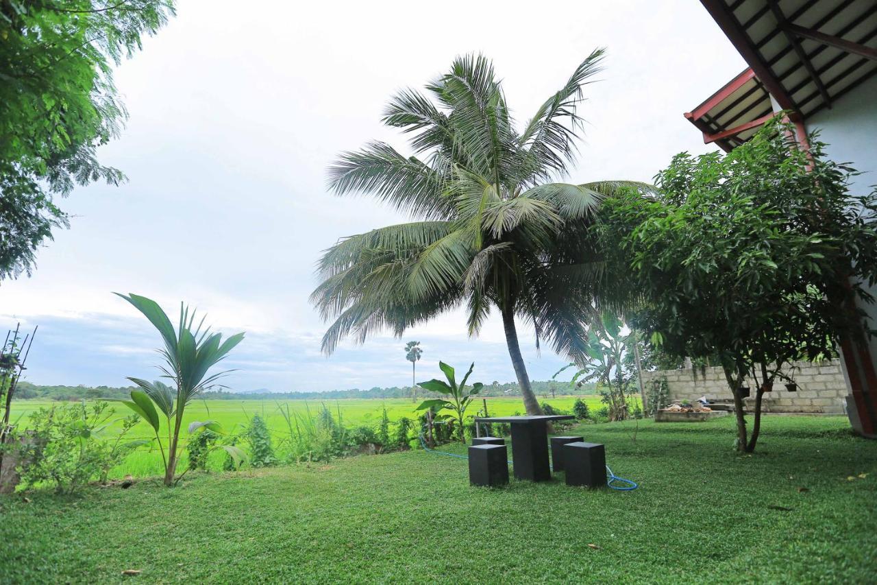 Serene View Tourist Rest Hotel Anuradhapura Eksteriør billede